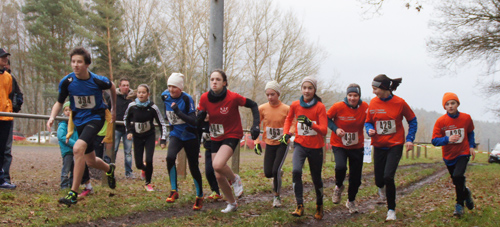 2014-12-20 041mittel