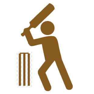 Cricket Pictogramm braun